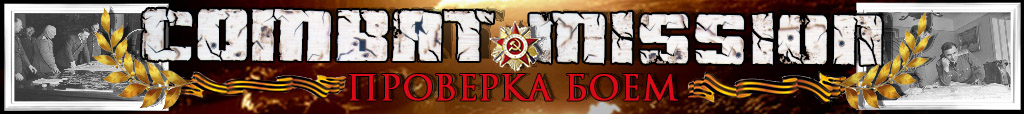 Imperial: Total War, Strategy, History