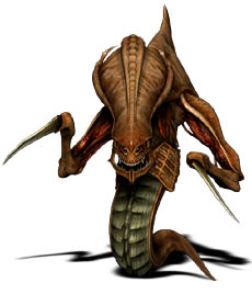 Imp