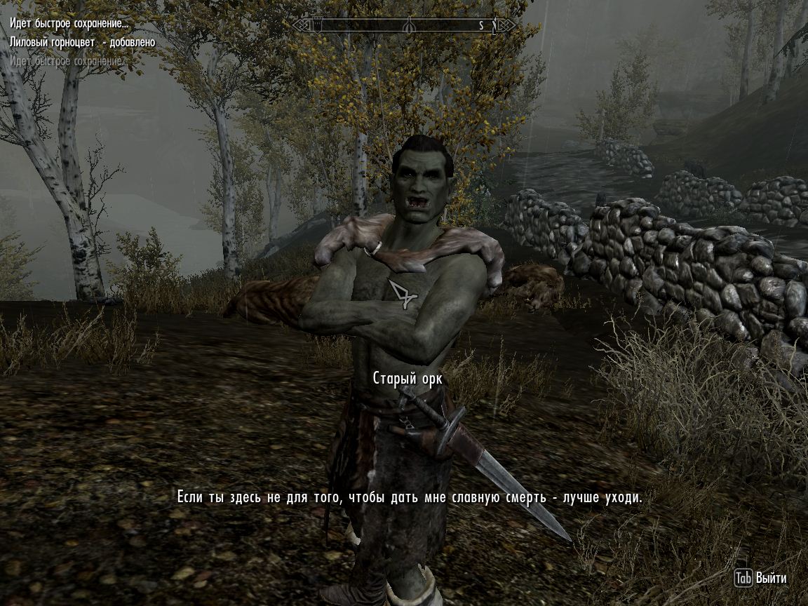 Imp