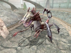 Imp
