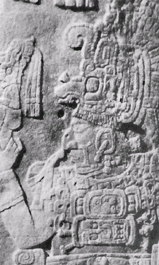 Imp