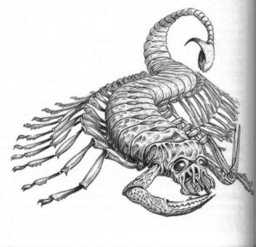 Imp