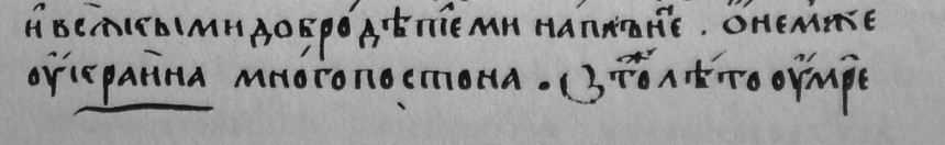 Imp
