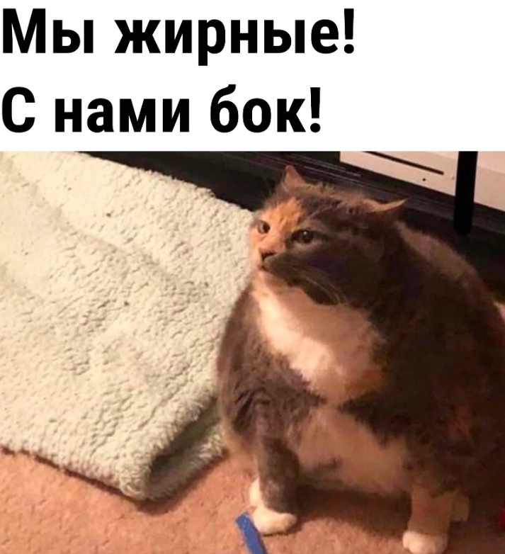 Imp