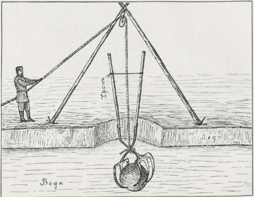 Imp