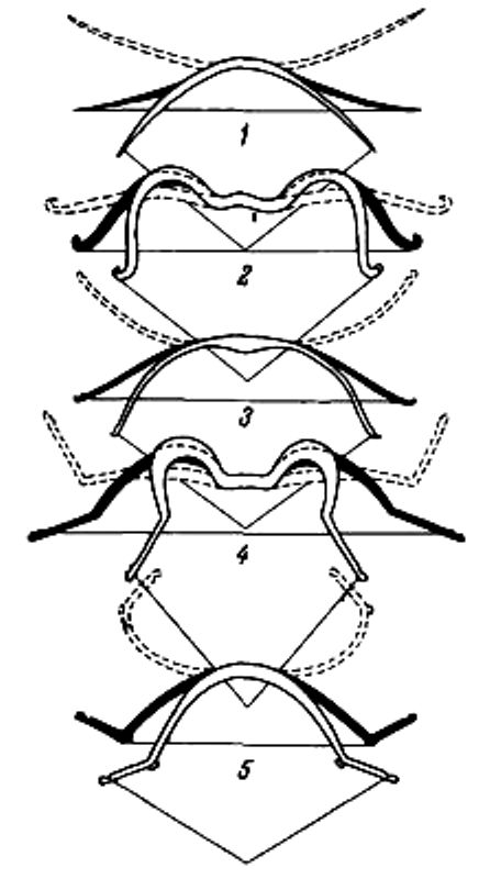 Imp