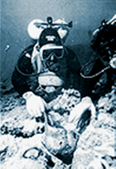 Imp