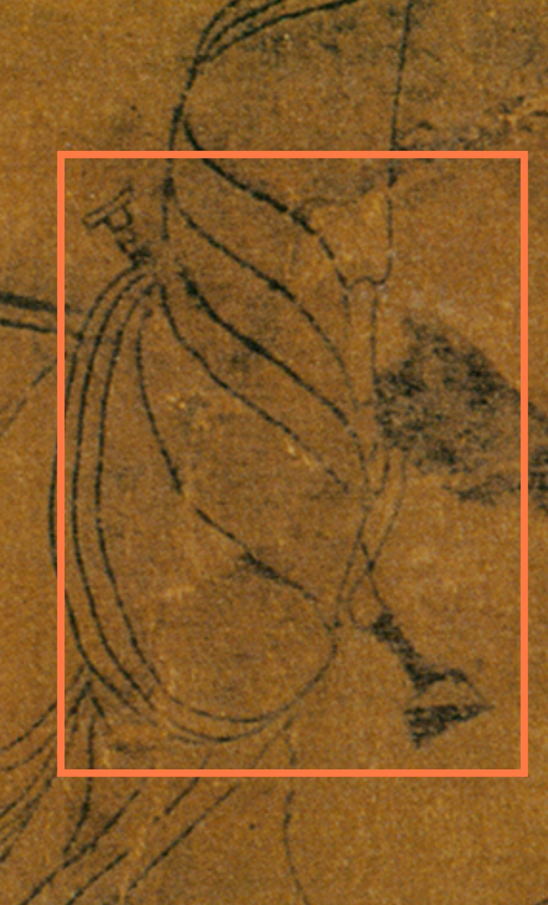 Imp