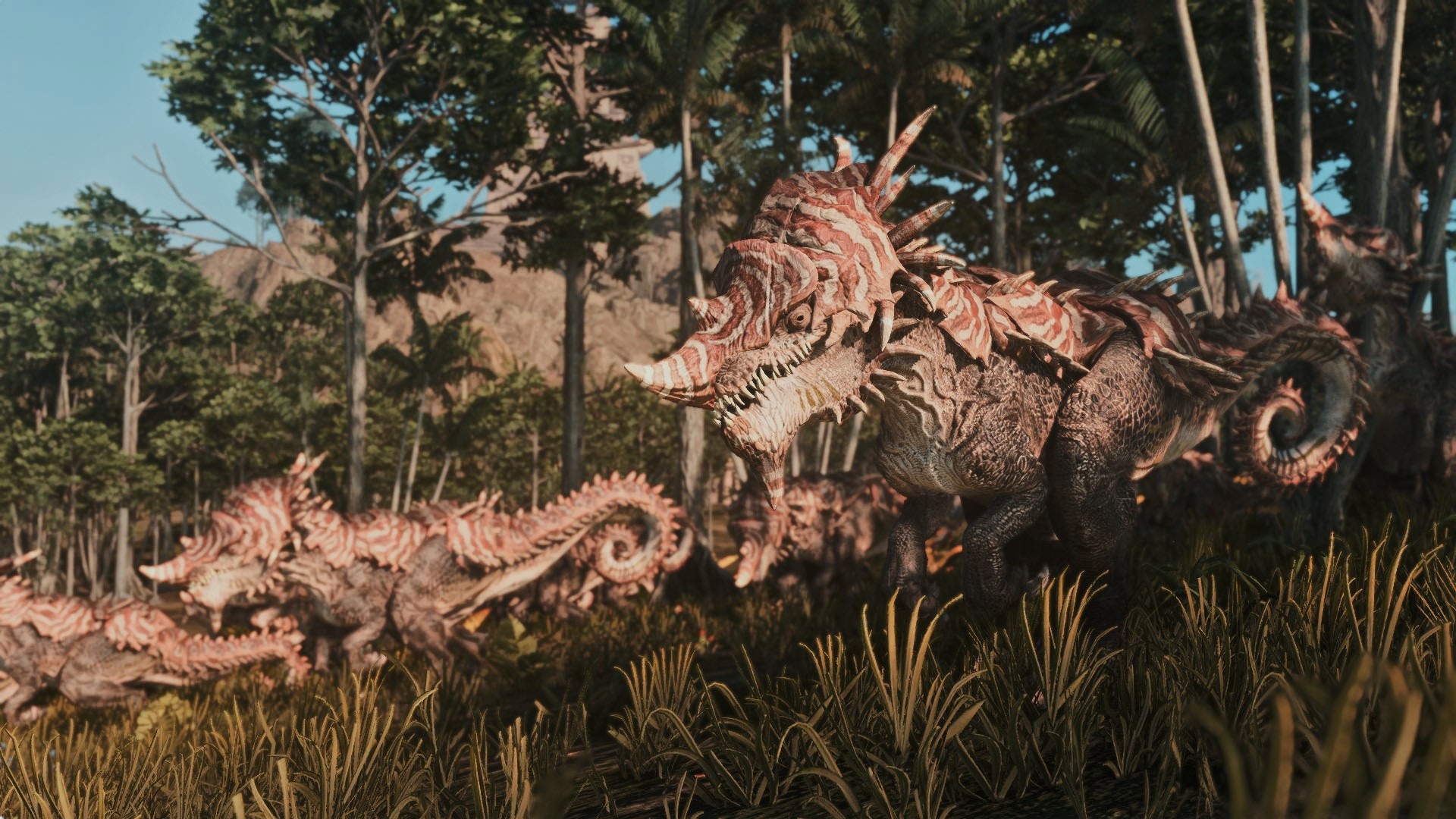 Imp