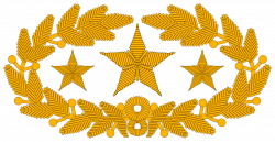Imp