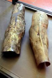 Imp