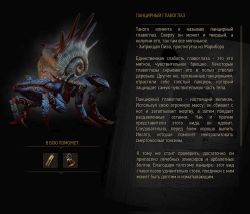 Imp