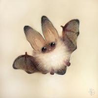 Imp