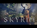 Вся суть Skyrim в 24-секундном ролике