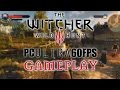 10 минут The Witcher 3 Wild Hunt на Ultra настройках