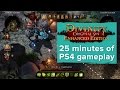 25 минут геймплея Divinity: Original Sin на PS4