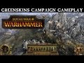 Геймплей за зеленокожих в Total War: Warhammer