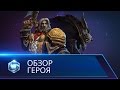 Видео Heroes of the Storm - обзор Седогрива
