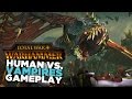 Total War: Warhammer - Вампиры против Империи
